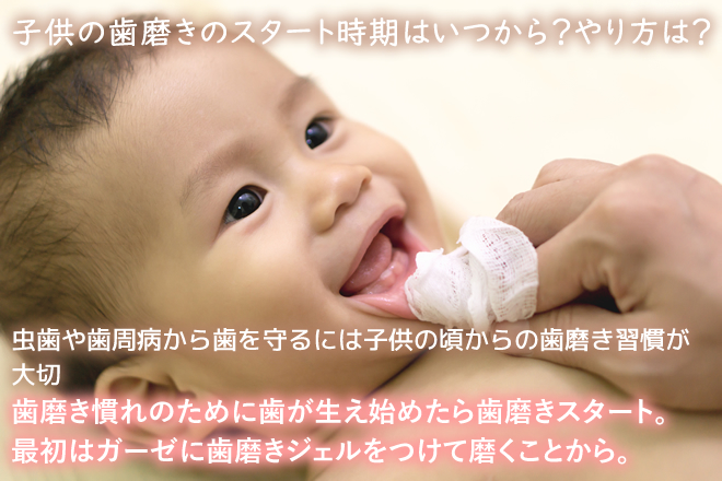 子供の歯磨きのスタート時期はいつから？やり方は？