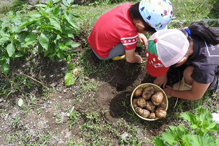 子供と一緒に家庭菜園を楽しもう