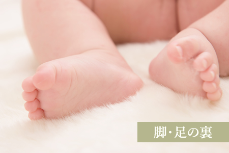 【部位】脚・足の裏