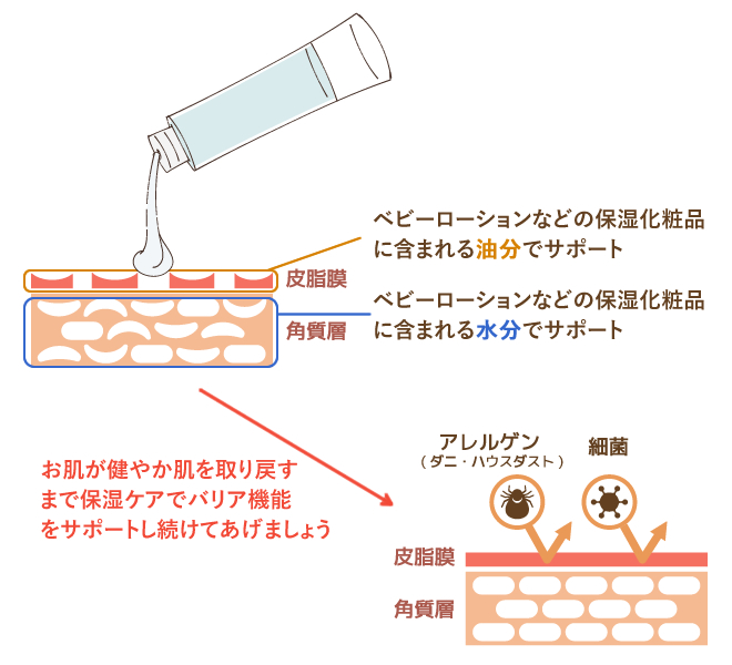 スキンケアでバリア機能をサポートするというのはこういうこと