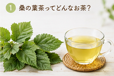 桑の葉茶ってどんなお茶?