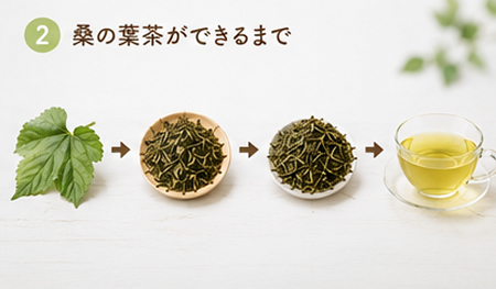 桑の葉茶ができるまで