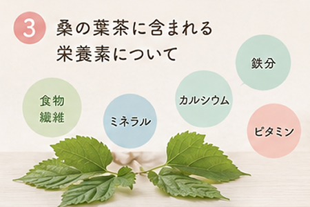 桑の葉茶に含まれる栄養素について