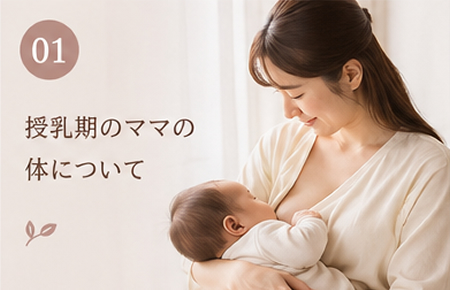 授乳期のママの体について