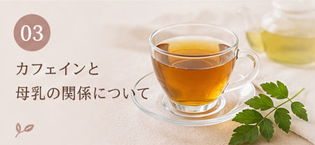 カフェインと母乳の関係について