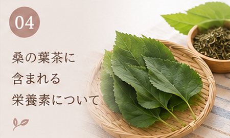 桑の葉茶に含まれる栄養素について