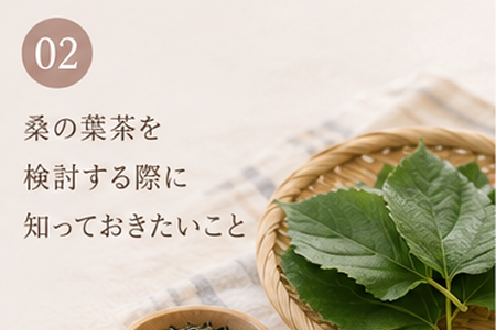 桑の葉茶を検討する際に知っておきたいこと