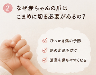 なぜ赤ちゃんの爪はこまめに切る必要があるの?