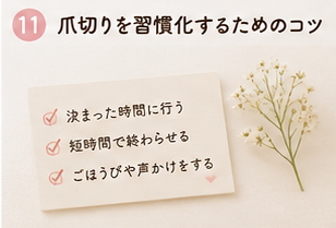 爪切りを習慣化するためのコツ