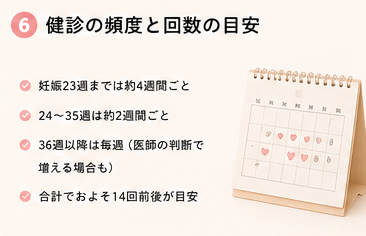 健診の頻度と回数の目安