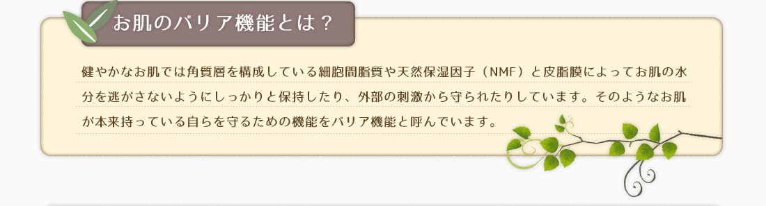 お肌のバリア機能とは？