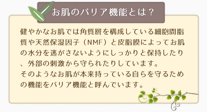 お肌のバリア機能とは？