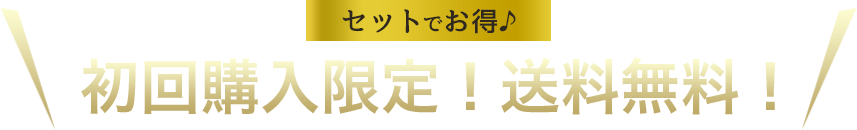 初回購入限定！送料無料！