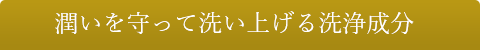 潤いを守って洗い上げる洗浄成分