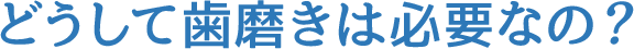 どうして歯磨きは必要なの？