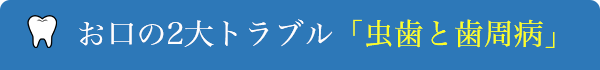 お口の2大トラブル「虫歯と歯周病」